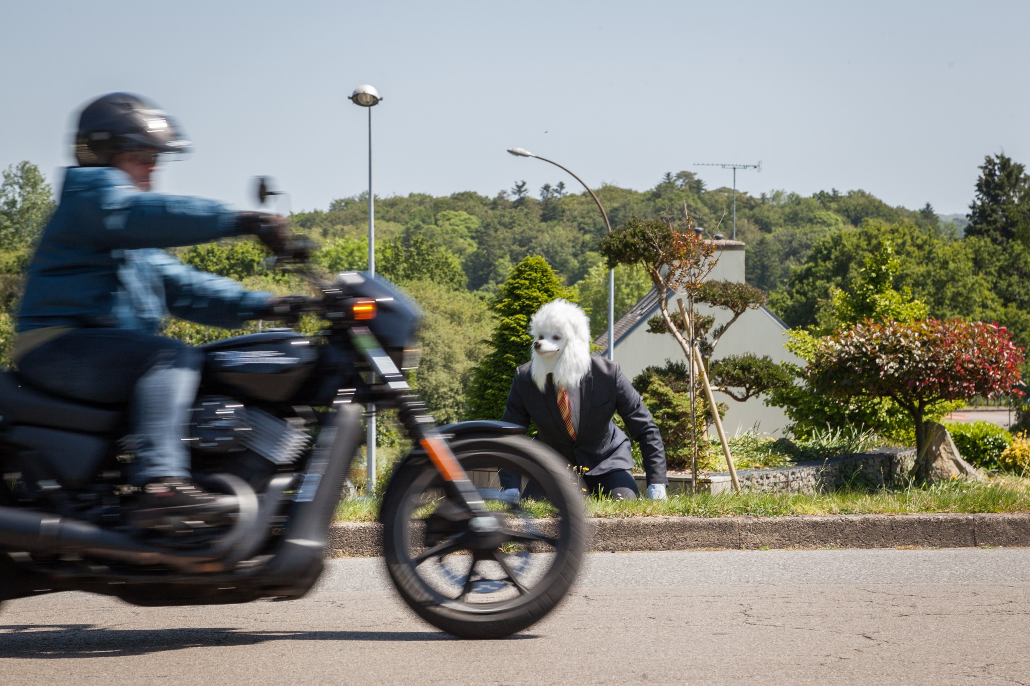 350111150_1024009851904480_1836002900652700756_n